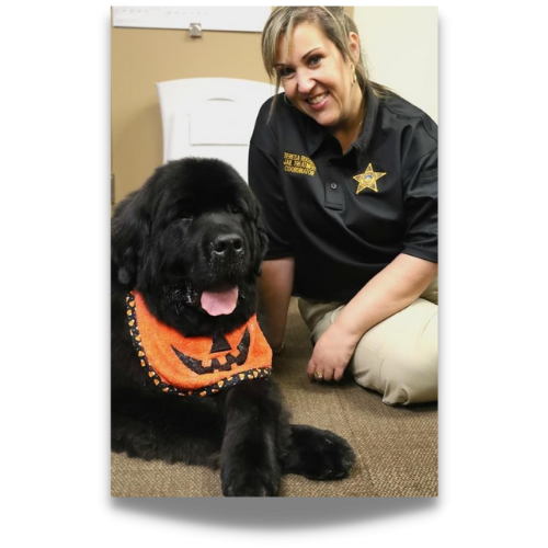 how to therapy dog certified dayton ohio pets that care story