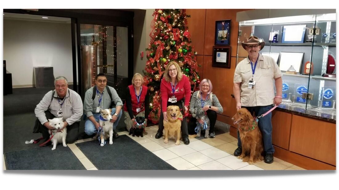 miami valley pet therapy association premier dog therapy services dayton ohio